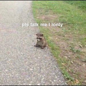 Meet your Posher, Yani